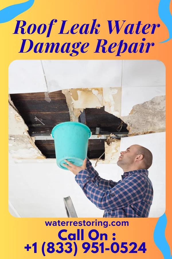 Roof Leak Water Damage Repair in Porter, WA
